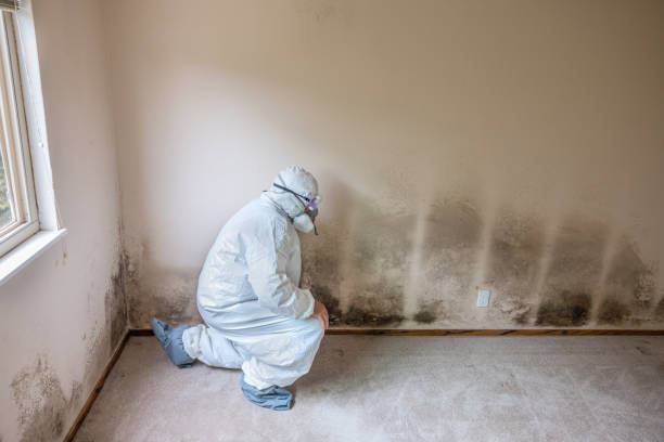 Best Crawl Space Mold Removal  in Kaaawa, HI